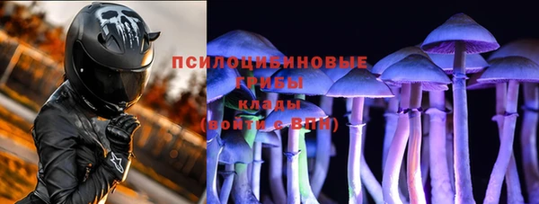 прущий лед Анива