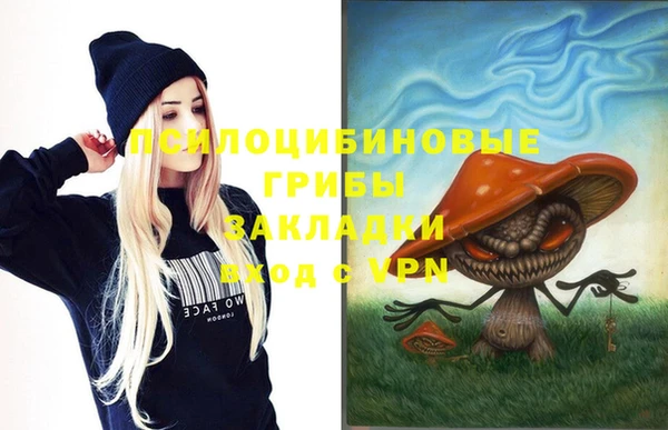 ешки Нея
