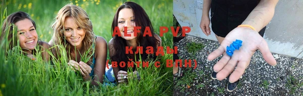 молекула духа Нефтекумск