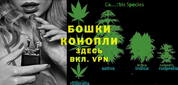 молекула духа Нефтекумск