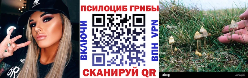 Галлюциногенные грибы мицелий  купить наркоту  Ильский 